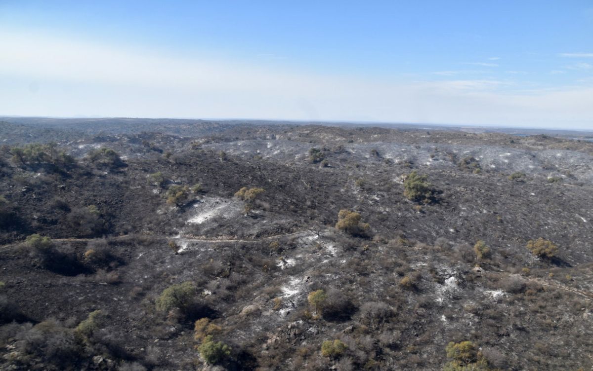 Incendios forestales en San Luis: no se detectaron focos activos
