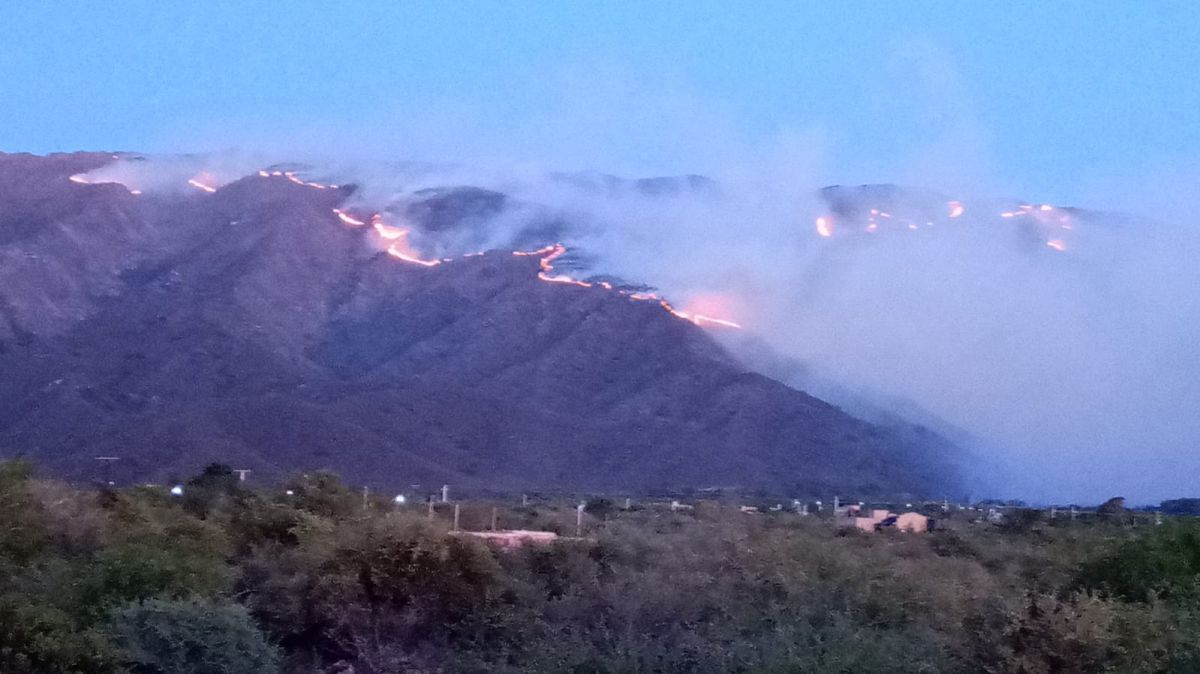 Continúa activo el incendio forestal en Los Molles 