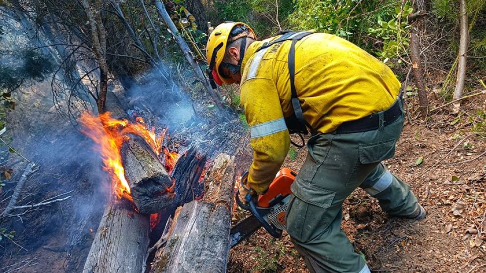 Brigadistas de San Luis ya combaten las llamas en el Parque Nacional Los Alerces