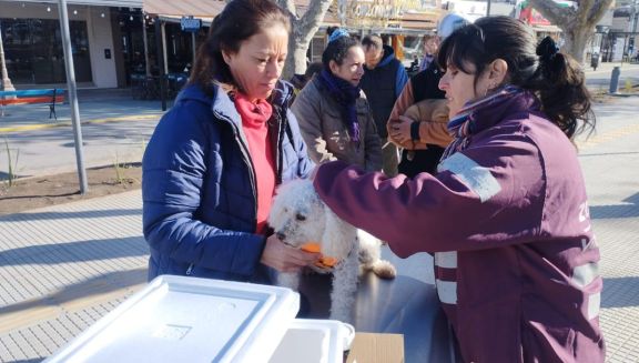 Vacunaron a más de 100 mascotas en Merlo 
