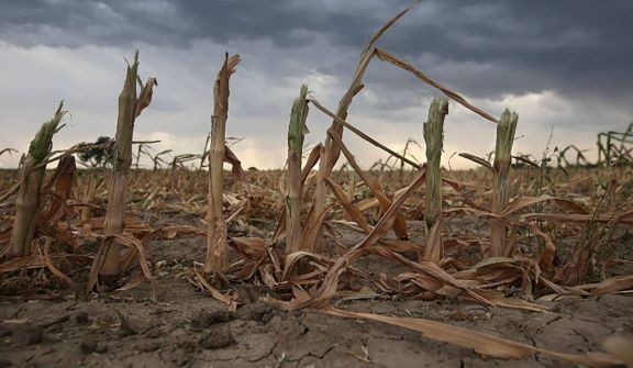 La Niña está por llegar a la Argentina: se esperan fuertes sequías y un clima fuera de lo normal