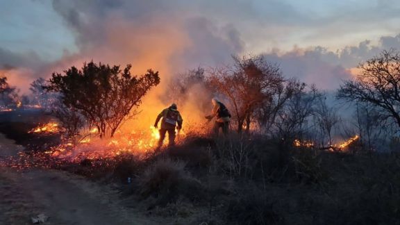 Dramático incendio forestal entre Balcarce y Cortaderas: hay personas evacuadas