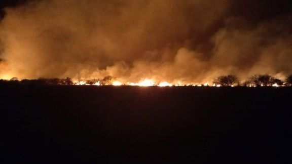 Alerta incendios: Bomberos combaten focos en Merlo, Cortaderas y el valle