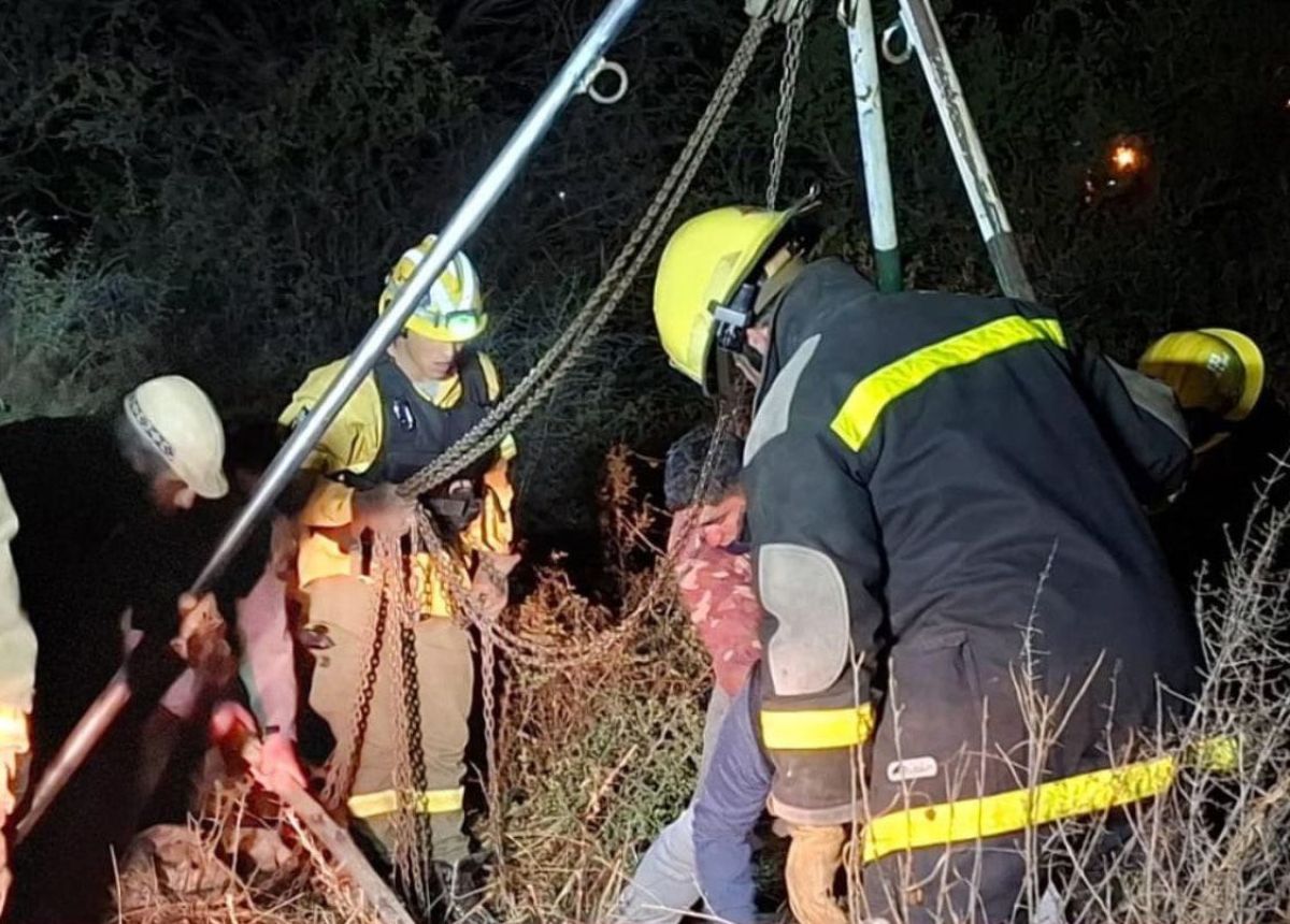 Rescate de equino en Cruz de Caña: el animal no sobrevivió 