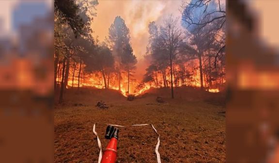 Más de 12.000 hectáreas arrasadas: detuvieron a un vecino de Calamuchita por los incendios forestales