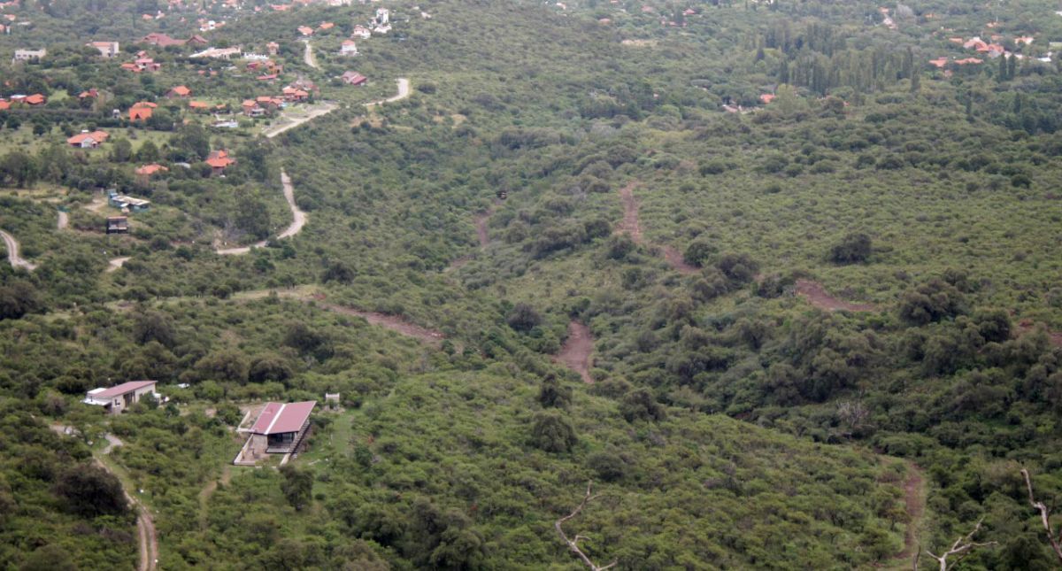 Mario Nicoletti: “Lo que hicieron es un daño ambiental irreparable”