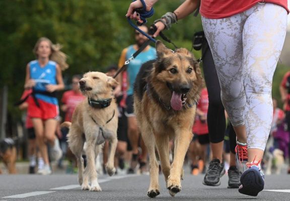 Convocan a participar de la Maratón Animal en Villa de Merlo