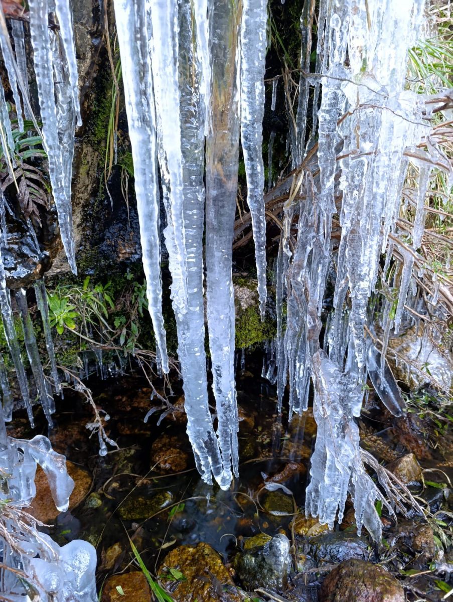 Siguen cazando cascadas congeladas: una travesía invernal al Chorro Grande en Villa Elena