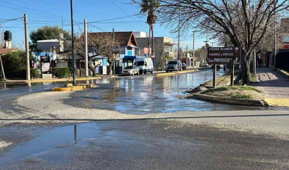 Perdieron la cooperativa y ahora se obsesionaron con las pérdidas