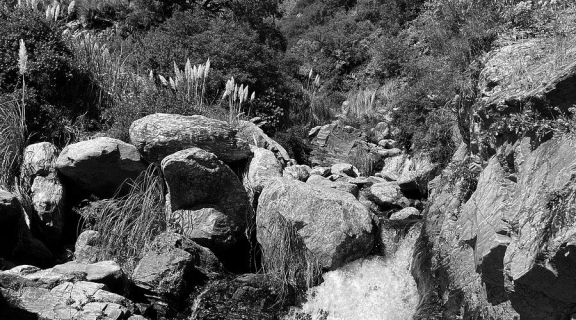 Ni al arroyo tranquilas: alerta por exhibiciones obscenas en Merlo