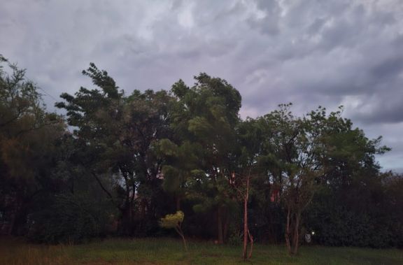 La REM advierte por fuertes vientos y marcado descenso de temperaturas 