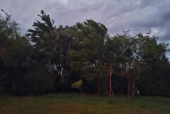 Emiten alerta meteorológica por intensos vientos para el norte de San Luis