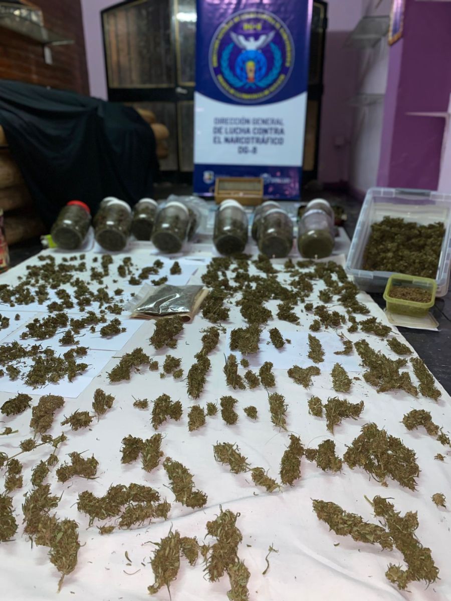 Desarticularon un centro de venta de drogas y detuvieron a dos hombres en Villa de Merlo