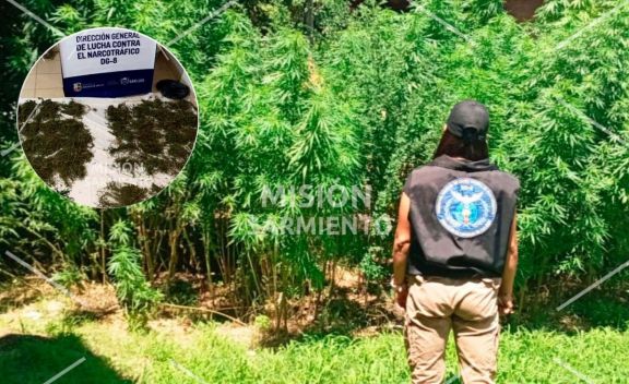 Operativo antidrogas en Villa de Merlo: secuestran cannabis valuado en más de $16 millones