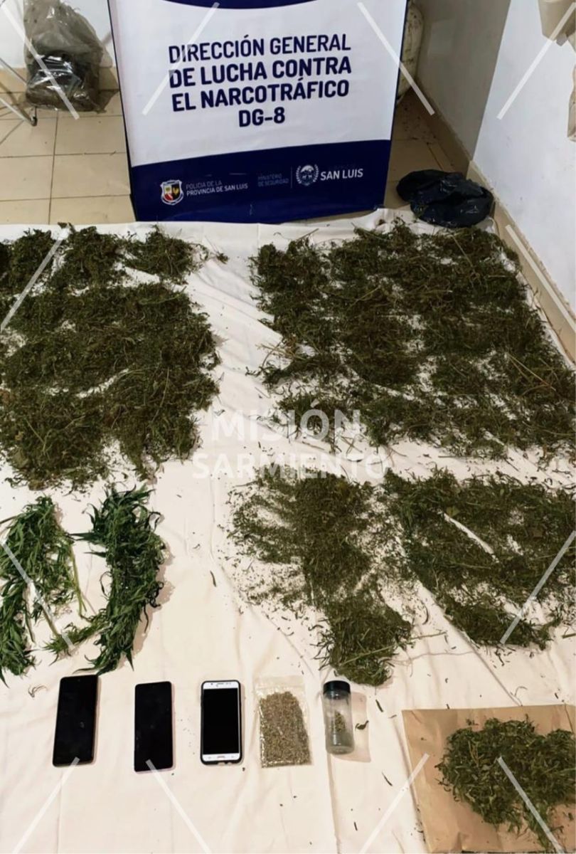 Operativo antidrogas en Villa de Merlo: secuestran cannabis valuado en más de $16 millones