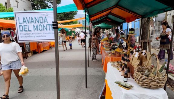 Feria Franca: 24 años de alimentos sanos y comercio justo