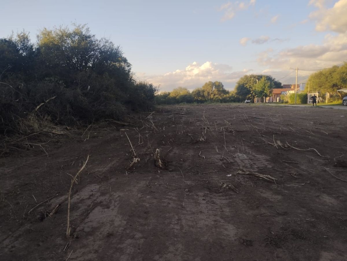 Villa de Merlo: denuncian que topadoras arrasaron un espacio verde en el barrio Los Troncos