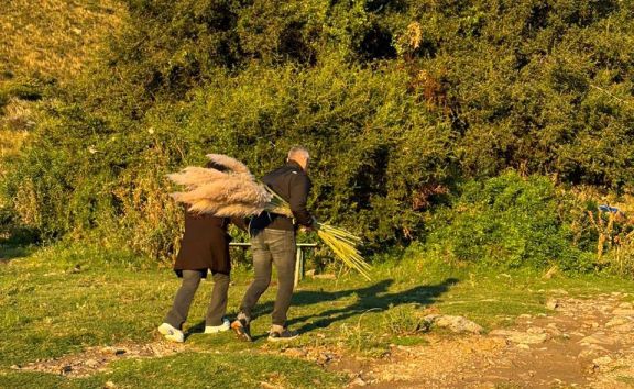 Indignación: cortaron plantas en un mirador y agredieron a guías turísticos
