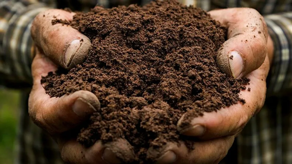 La FTU abrió inscripciones para un curso taller sobre calidad de suelos La FTU abrió inscripciones para un curso taller sobre calidad de suelos