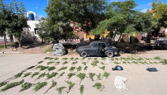 Operativo en Tilisarao: hallan más de 60 restos de cannabis en un vehículo