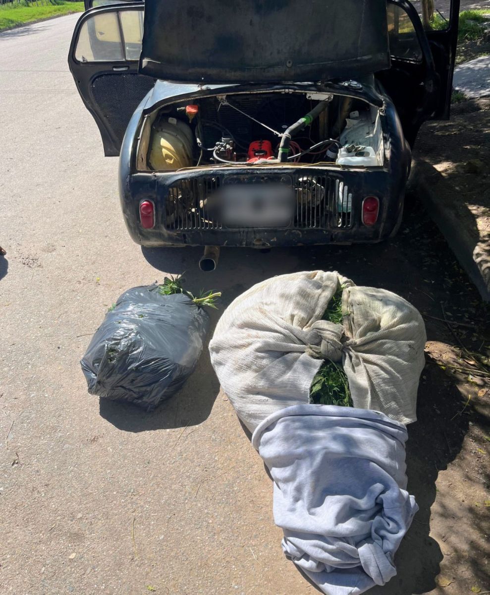 Operativo en Tilisarao: hallan más de 60 restos de cannabis en un vehículo