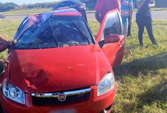 Perdió el control y volcó en la Autopista 55: salió ilesa