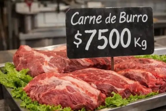 Polémica por la carne de burro: el caso que reabrió el debate sobre su consumo en Argentina