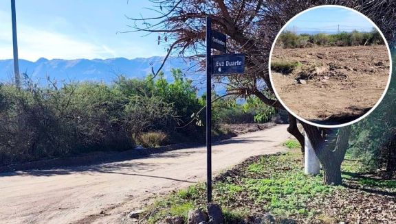 Desmonte en el Parque Industrial: concejales opositores exigen informes al Municipio