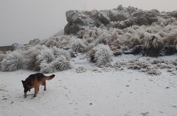 La nieve volvió al filo de las sierras de Merlo y la ola polar se instala hasta el sábado