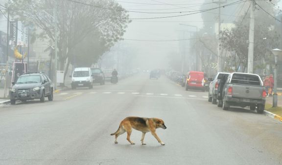 El invierno se hace sentir: anuncian máximas de apenas 7°C