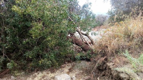Reclaman al Municipio respuestas por denuncias ambientales en distintos sectores de Merlo