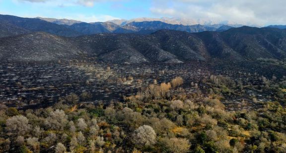 El fuego en Estancia Grande fue controlado en un 85%