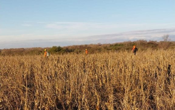 La búsqueda de Darío Cuello entra en una nueva jornada tras un intenso operativo sin resultados