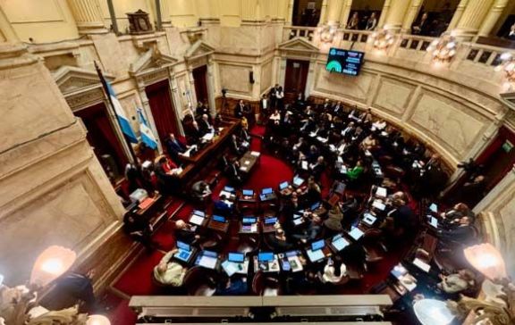 Senado: el Gobierno aprobó la ley de propiedad privada, pero tuvo que quitar otro capítulo