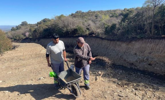 Plantaron centeno en las márgenes del arroyo Damiana Vega para reforzar las defensas