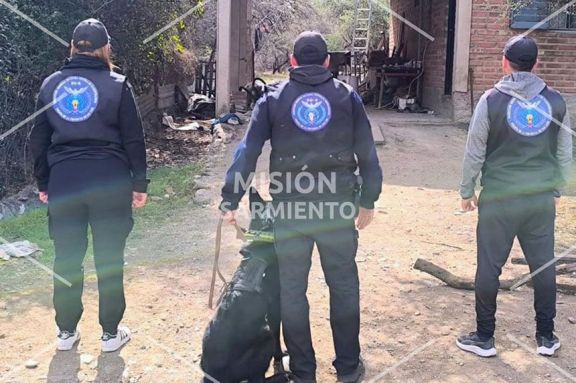 Secuestraron marihuana por más de $8 millones durante un allanamiento en Carpintería