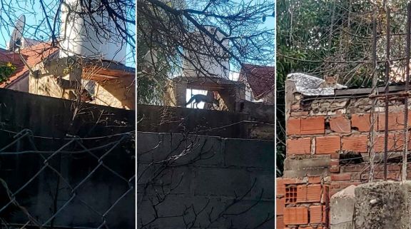 Zorros en el centro de Merlo: vecinos reclaman una respuesta por los inconvenientes que generan