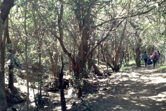 Una caminata por el Arroyo Juan Pérez para limpiar y cuidar la naturaleza