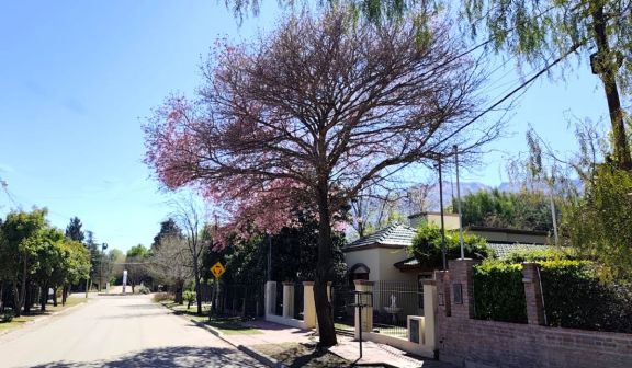 La primavera se adelanta en San Luis: pronostican un marcado ascenso de las temperaturas