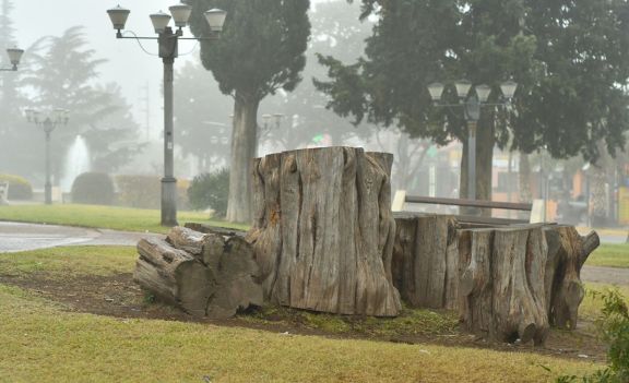 Lunes con descenso de temperatura y probabilidad de lluvias en San Luis