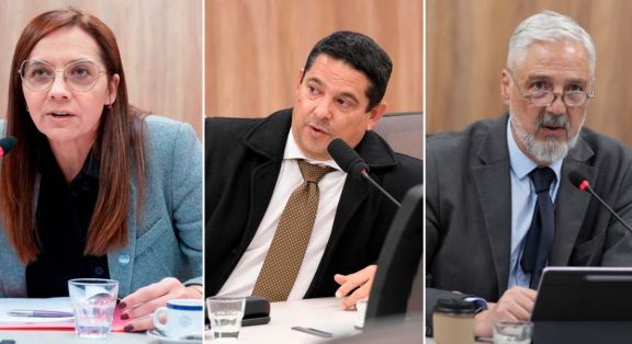 Tres diputados de San Luis estuvieron ausentes en la sesión para derogar el DNU de Milei