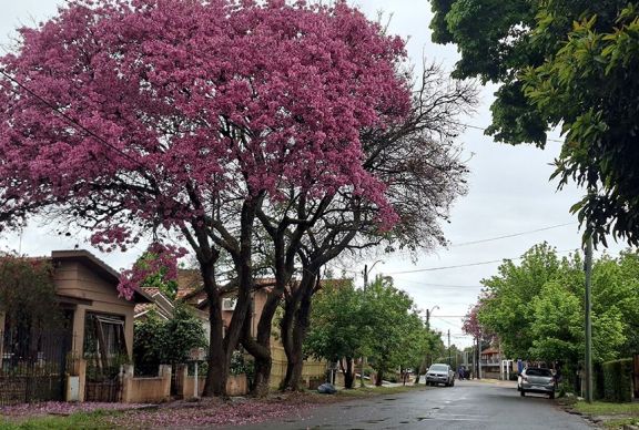 Cómo estará el tiempo en la provincia durante los próximos días