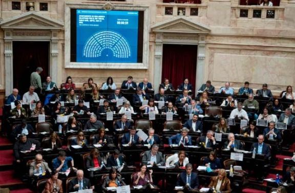 La nueva Ley de Discapacidad obtuvo media sanción y pasa al Senado